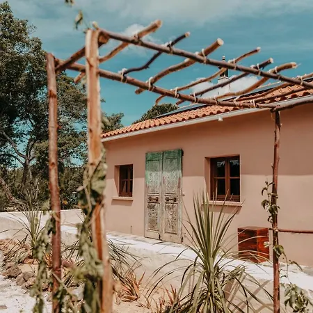 The Lemon * ألخيزور