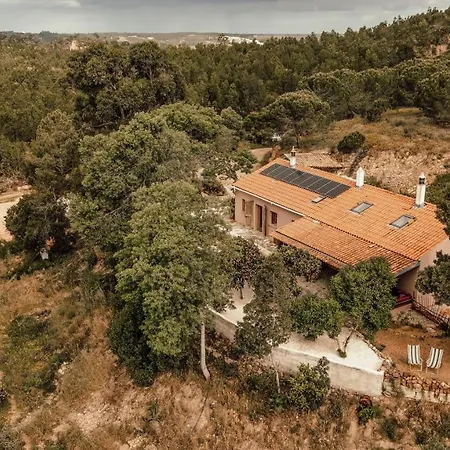 The Lemon ألخيزور