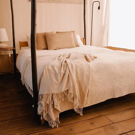 The Lemon ألخيزور