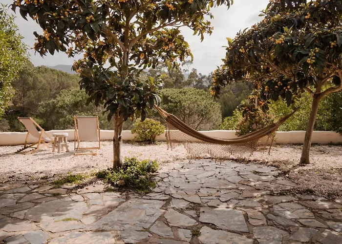 The Lemon Apartament *