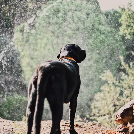 The Lemon Appartement *