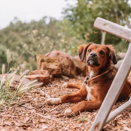 Apartmán The Lemon Aljezur