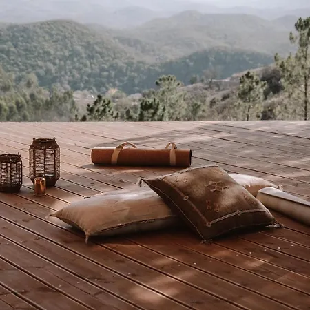 The Lemon Apartment *