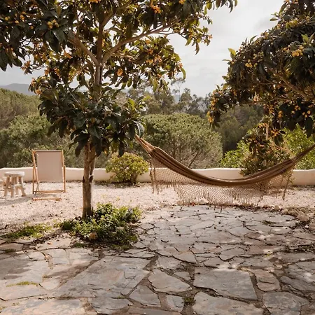 The Lemon Apartment *