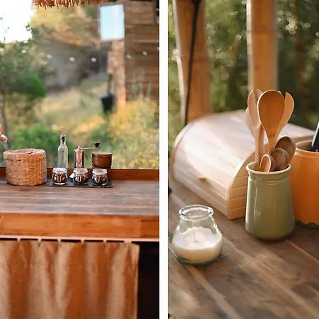 The Lemon 阿尔热祖尔