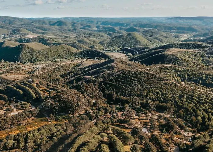 公寓 The Lemon 阿尔热祖尔