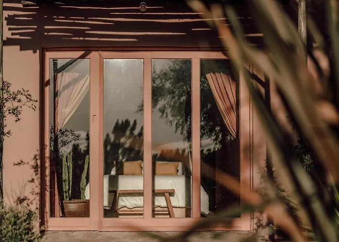 The Lemon * 阿尔热祖尔