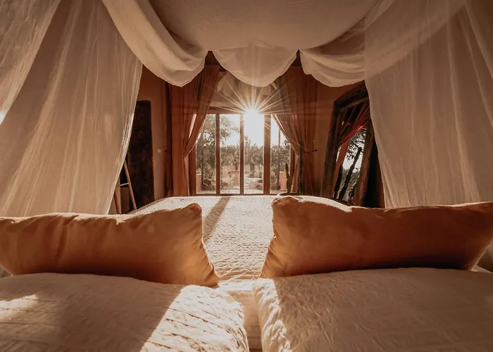 The Lemon 阿尔热祖尔