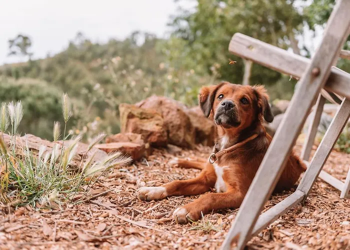 公寓 The Lemon 阿尔热祖尔