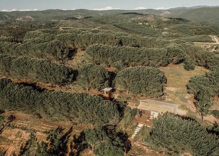 The Lemon * 阿尔热祖尔