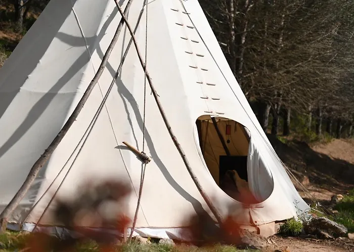 公寓 The Lemon 阿尔热祖尔