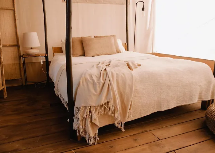 The Lemon 阿尔热祖尔