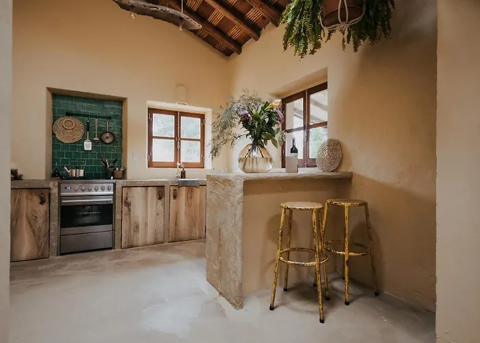 The Lemon * 阿尔热祖尔